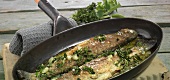 Pan trout with herbs on pan