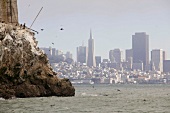 View of Cityscape with skyline and rocks in Pacifica Ocean, San Francisco, California, USA