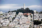 Coit-Turm, Straßen, Wohnhäuser, Bäume, San Francisco