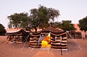 1000 Nights Camp, Wüste, Wahiba Sands, Zelte, Zeltlager, Oman