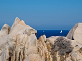 Sardinien, Nordküste, Capo Testa, Mittelmeer, Blick nach Korsika, Fels