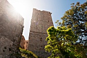 View of The Torre dell'Elefante in old town of Cagliari, Sardinia, Italy