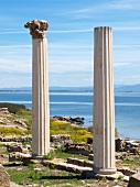 View of Corinthian columns at Tharros on the west coast of Sardinia, Italy