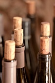 Close-up of wine bottle with corks, France