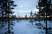 View of snow landscape of Lapland at sunset, Finland