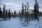 Lappland, Landschaft, verschneit, Sonennuntergang