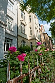 Köln, Ehrenfeld, Eichendorffstraße, Häuserfassade, Rosen