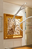 Stag in golden frame on white wall, Tschebull