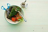 Vegetarisch, Zusammenstellung Hilfsmittel Salate