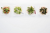 Four different wraps with vegetables on paper