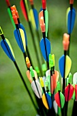 Close-up of multi-coloured arrows
