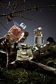 Various types of perfume bottles on autumn landscape, digital composite