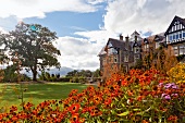 Flowers in Bodnant garden with mansion in background, Conwy, Wales, UK