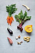 Different types of raw vegetables on gray background