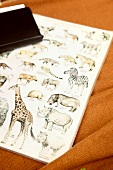 Tiere Südafrikas auf Karte, Tierkarte, Tierrassen, Wildtiere