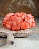 Pink oyster mushrooms on a wooden board
