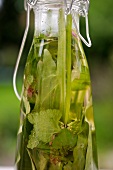 Close-up of bottle with herbs in oil