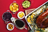 Roast goose, brussels sprouts, potato dumplings and red cabbage sauce, overhead view