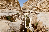 View of people at Ein Avdat and still water in En Avdat National Park, Negev, Israel