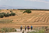 Pilgrims walking on road to Jesus Trail near Mount Arbel, Capernaum, Galilee, Israel