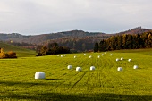 View of green fields in Witzenhausen, Hesse, Germany