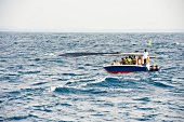 View of boat with tourists watching whales in sea at Mirissa, Sri Lanka