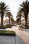 View of people at Split Riva Promenade with palm trees around at Croatia, Germany