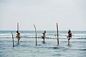 Stilt fishermen in Indian Ocean at Weligma on the south coast of Sri Lanka