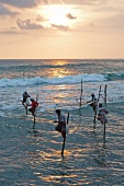 Sri Lanka, Südküste, Weligama, Indischer Ozean, Stelzenfischer