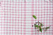 Herbs on white and red checkered table cloth, copy space