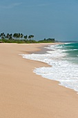 Sri Lanka, Südküste, Tangalle, Strand, Wellen, Palmen