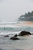 Sri Lanka, Südküste, Weligama, Indischer Ozean, Strand, windig
