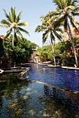 View of pool and palm trees at Barberyn Reef Ayurveda Resort, Beruwala, Sri Lanka