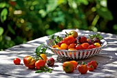 Landküche, Schale mit Tomaten auf Gartentisch