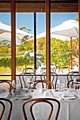 View of vineyards and olive trees from dinning room