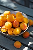 Bowl of fresh apricots on wooden table