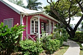 View of pink house with garden on Lesser Antilles at Caribbean island, Barbados