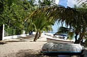 Boat on beach of Lesser Antilles at Caribbean island, Barbados