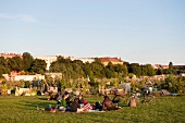 People in Tempelhof garden, Berlin, Germany