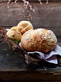 Easter bread with anise and almonds and Tuscan buns on wood