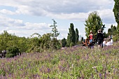 People in Mauerpark at Prenzlauer Berg, Berlin, Germany