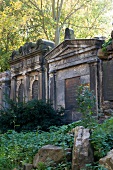 View of trees in Jewish cemetery at Weissensee, Berlin, Germany