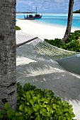 Hammock tied to tree on beach in Veligandu Huraa Island, Maldives