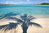 View of palm tree shadow on Veligandu Huraa, Maldives