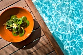 Close-up of plumeria kept in bowl on jetty