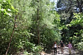 Women and man hiking in Dilek Peninsula National Park, Turkey