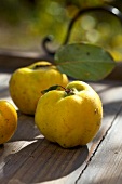 Close-up of quince on wood