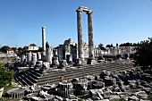View of Apollo temple in Didyma, Turkey