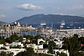 View of harbour in Bodrum, Aegean Region, Turkey