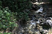 View of waterfall in Dilek Peninsula National Park, Aegean, Turkey